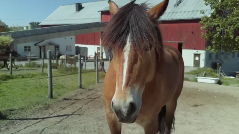 Forhåndsvisningsbile av video